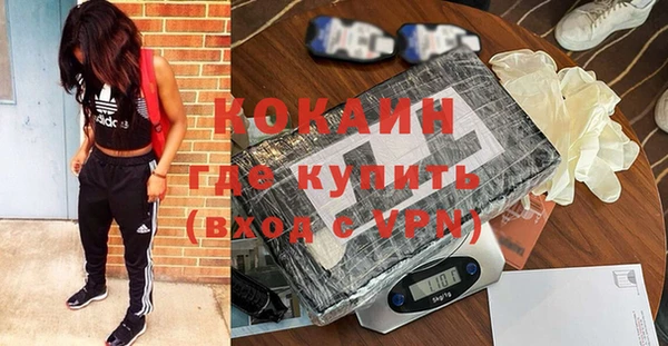 стафф Грязовец