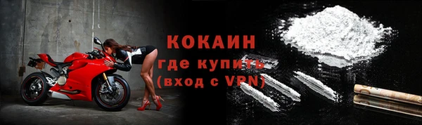 индика Нея