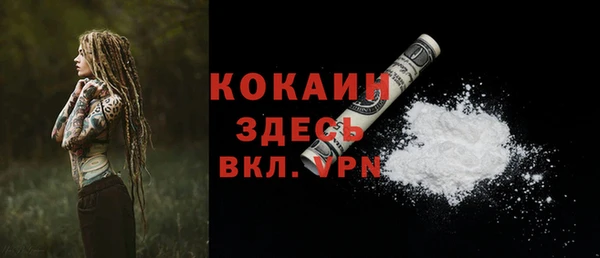 стаф Новокубанск