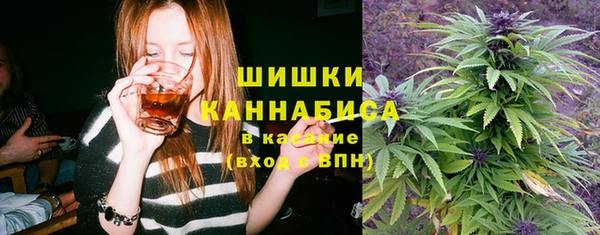 стаф Новокубанск