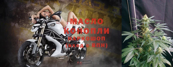 стаф Новокубанск