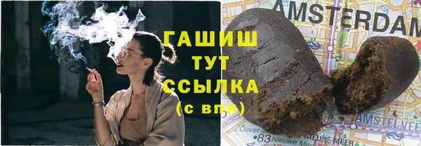 тгк Новозыбков