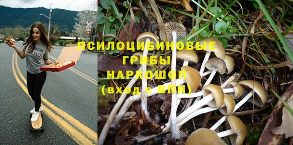 тгк Новозыбков