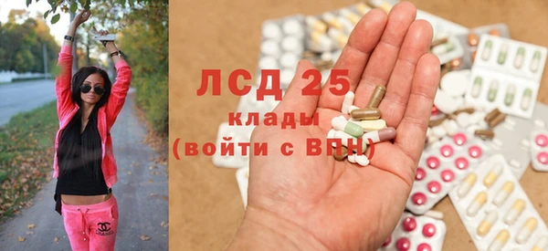 индика Нея