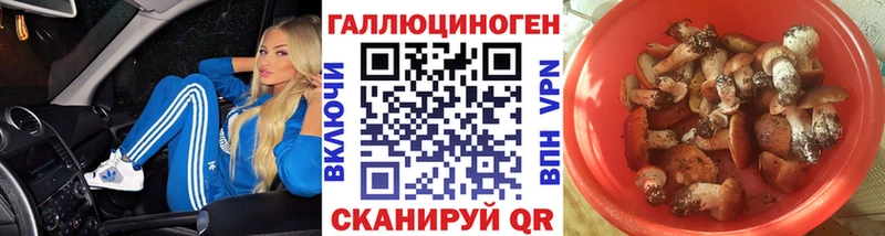 купить наркоту Петровск Псилоцибиновые грибы GOLDEN TEACHER