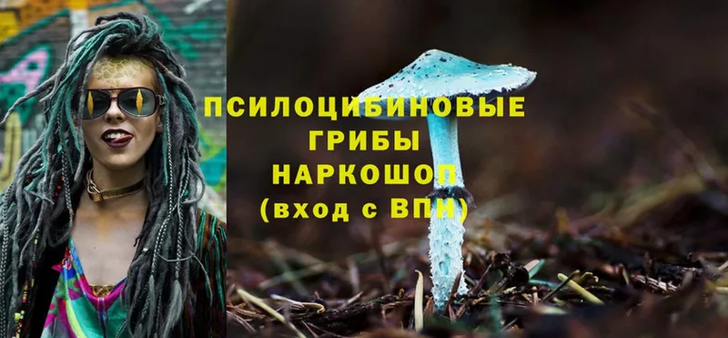 Псилоцибиновые грибы MAGIC MUSHROOMS  где найти наркотики  Петровск 