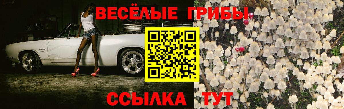 Псилоцибиновые грибы ЛСД  Петровск  купить закладку  Галлюциногенные грибы прущие грибы 
