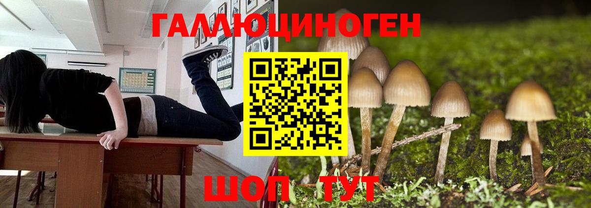 Псилоцибиновые грибы Magic Shrooms Петровск