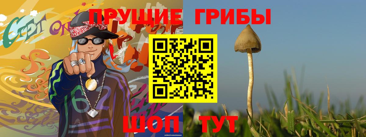 Псилоцибиновые грибы Cubensis Петровск